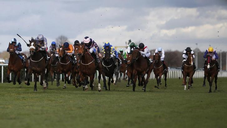 Runners in the Lincoln Handicap
